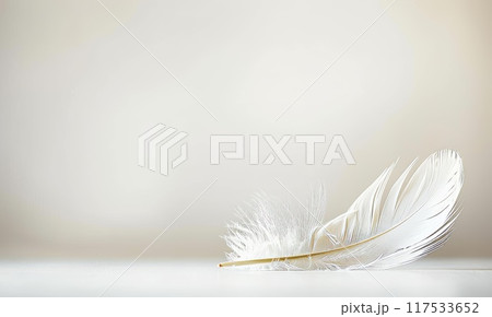 Feather with copyspace. White background. Light swan feather. Abstract closeup plumage 117533652