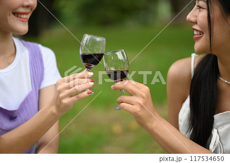 Cheerful beautiful women friends smiling warmly at each other while toasting with glasses of red wine 117534650