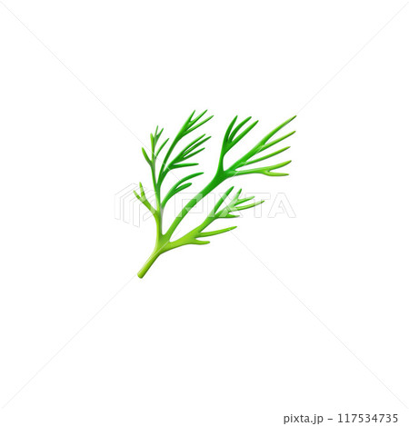 3D icon a sprig of green dill, known for its benefits for a healthy diet 3D icon a sprig of green dill, known for its benefits for a healthy diet 117534735