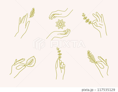 Female Hand with Feather and Spices Thin Line Icon Set. Vector 117535129
