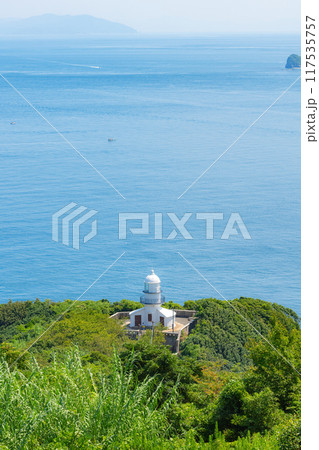 関埼灯台と豊予海峡 関埼灯台と豊予海峡 117535757