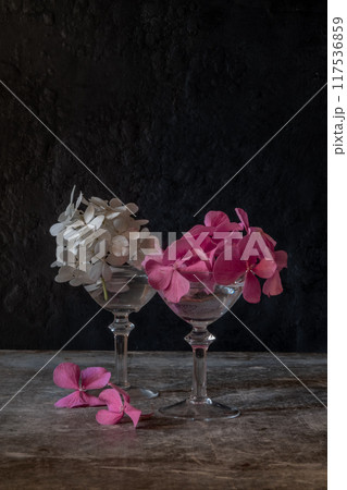 Still life. Hydrangea flowers in small glasses on a black background Still life. Hydrangea flowers in small glasses on a black background 117536859