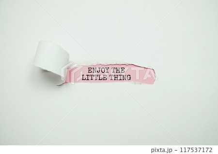 Enjoy the little thing text message on pink background Enjoy the little thing text message on pink background 117537172