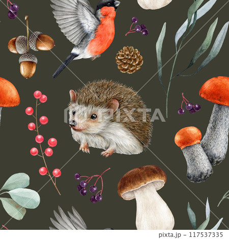 Cute hedgehog, forest nature elements seamless pattern. Watercolor vintage style illustration. Forest animal, bird, mushrooms, leaves seamless pattern design for printing, wrapping on dark background Cute hedgehog, forest nature elements seamless pattern. Watercolor vintage style illustration. Forest animal, bird, mushrooms, leaves seamless pattern design for printing, wrapping on dark background 117537335