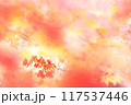 幻想的な赤に染まる紅葉 117537446