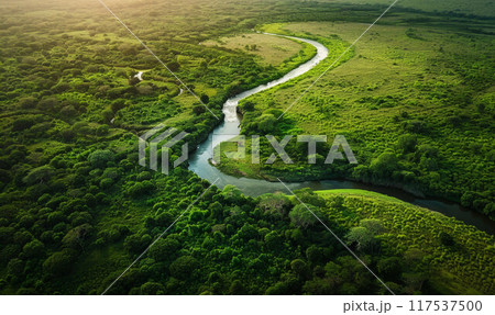 A drone view of the river in the woods. An aerial view of an autumn forest. Winding river among the trees. 117537500
