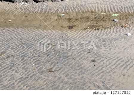 国東市(国東町) 奈良原海水浴場 国東市(国東町) 奈良原海水浴場 117537833