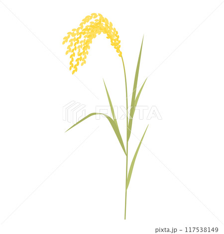 稲穂のイラスト 稲穂のイラスト 117538149