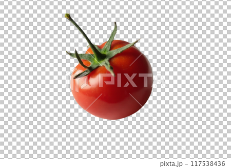 Tomato set. Red tomato collection. Realistic tomatoes on isolared transparent background 117538436