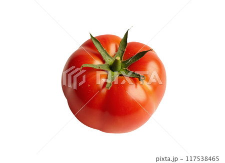Tomato set. Red tomato collection. Realistic tomatoes on isolared transparent background 117538465