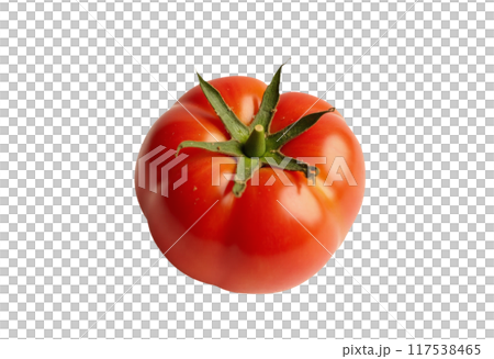 Tomato set. Red tomato collection. Realistic tomatoes on isolared transparent background 117538465