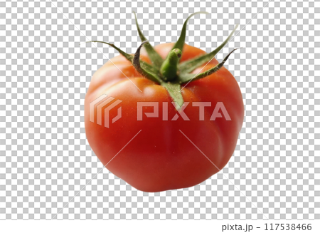 Tomato set. Red tomato collection. Realistic tomatoes on isolared transparent background 117538466