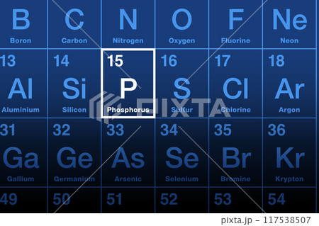 Phosphorus element on the periodic table....のイラスト素材 [117538507] - PIXTA