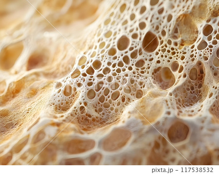 Detailed Close Up Skin Texture Showcasing Natural Epidermis Beauty in Medical Realism 117538532