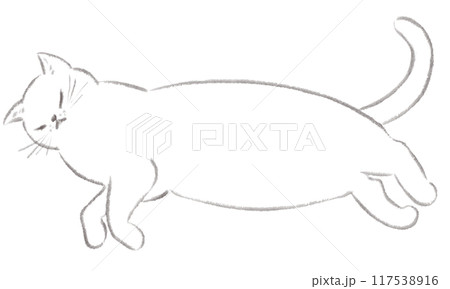 和風な寝そべっている白猫　 117538916