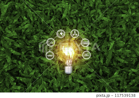 green energy concept help reduce global warming..natural background light bulb on green leaf , green energy icon around it. Carbon dioxide emission in industry net zero carbon ,friendly energy. 117539138