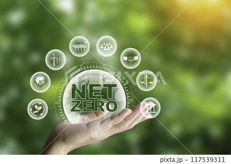Net zero in 2050 year, ESG eco concept for environmental, social, sustainable and ethical, net zero icon in light bulb on green nature with clean energy icon around it on green grass background.. Net zero in 2050 year, ESG eco concept for environmental, social, sustainable and ethical, net zero icon in light bulb on green nature with clean energy icon around it on green grass background.. 117539311