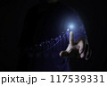 117539331