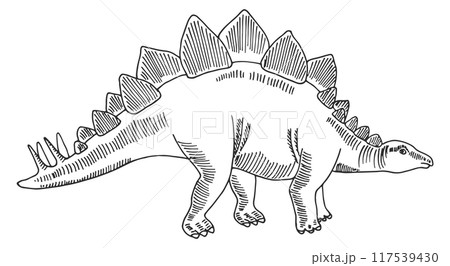 Stegosaurus sketch. Ancient dinosaur. Hand drawn animal Stegosaurus sketch. Ancient dinosaur. Hand drawn animal 117539430