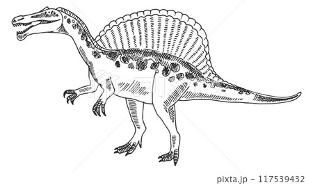 Spinosaurus sketch. Hand drawn prehistoric dinosaur animal Spinosaurus sketch. Hand drawn prehistoric dinosaur animal 117539432
