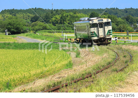 小湊鐵道「夏の上総川間駅付近の田園風景とキハ40」 117539456