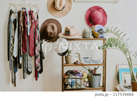Creative organization showcasing various hats and ties on wall-mounted hangers next to minimalist shelving with decor items, plants, and accessories 117539868