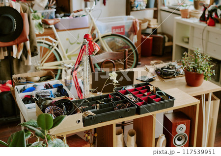 Organizing various accessories in cozy shop interior with jewelry stands, shelves filled with trinkets, and a bicycle in background creating a vintage and inviting atmosphere Organizing various accessories in cozy shop interior with jewelry stands, shelves filled with trinkets, and a bicycle in background creating a vintage and inviting atmosphere 117539951