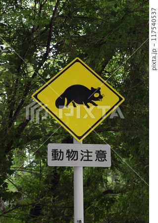 動物注意 動物注意 117540537