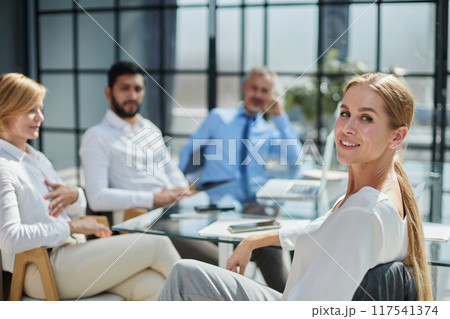 Successful meeting of business people, discussing new business ideas 117541374
