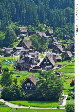 夏の白川郷、合掌造り集落、夏、白川、盛夏の季節、 117541585