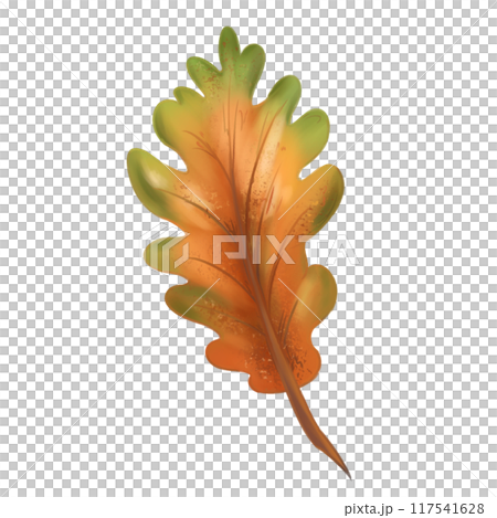 A bright autumn red-orange oak leaf. Traditional festival and harvest festival, seasonal plants. Nature, trees and rural life. Digital isolated illustration. For the design of printing and packaging 117541628