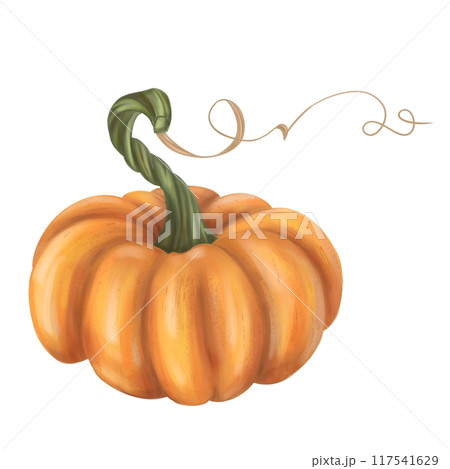Autumn harvest of orange ripe pumpkin. Fresh farm vegetables, healthy food, vegetarianism. Garden plants, agriculture. Isolated digital handmade illustration. Element of design of printing, packaging 117541629