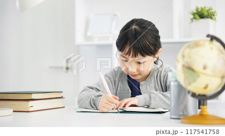 勉強する女の子 117541758