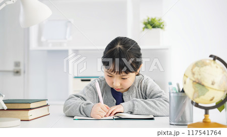 勉強する女の子 勉強する女の子 117541764