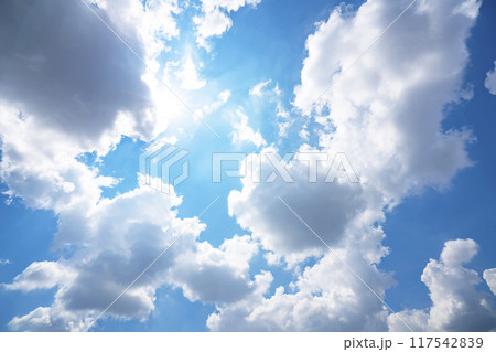 夏の青空と太陽 117542839