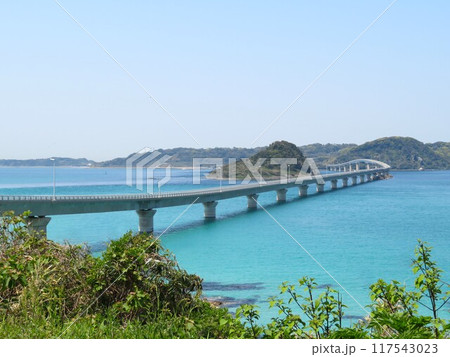 海士ヶ瀬公園(あまがせこうえん)から見た角島大橋 海士ヶ瀬公園(あまがせこうえん)から見た角島大橋 117543023