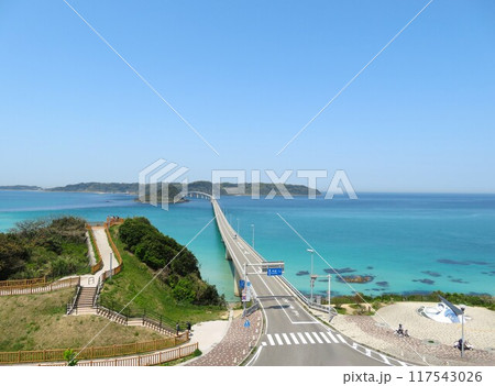 春の角島大橋 春の角島大橋 117543026