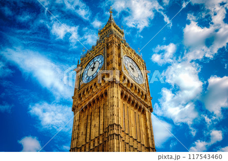 London's Timeless Beauty Captured 117543460