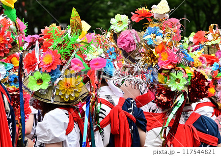 ハネト ハネト 117544821