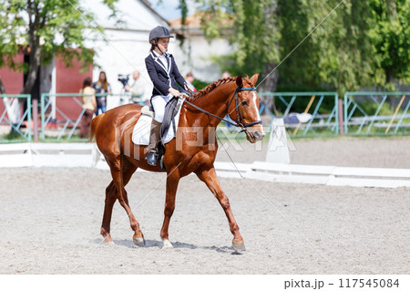 Young equestrian girl starting her dressage test in equestrian competition 117545084