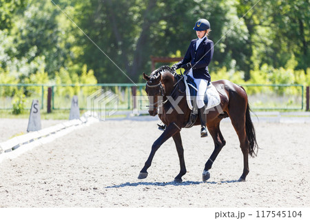 Young equestrian girl performing her dressage test in equestrian competition Young equestrian girl performing her dressage test in equestrian competition 117545104