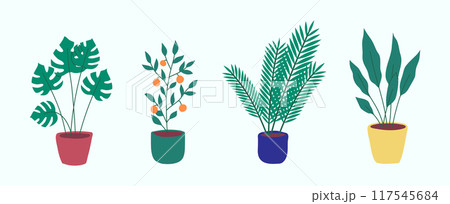 Cartoon Different Potted Plants Collection Include of Arrowroot, Palm and Monstera. Vector illustration of Exotic Houseplants Cartoon Different Potted Plants Collection Include of Arrowroot, Palm and Monstera. Vector illustration of Exotic Houseplants 117545684