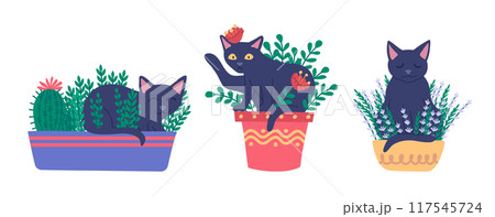 Cartoon Color Characters Cats in Pots and Plant Flowers Box Set Concept Flat Design Style. Vector illustration 117545724