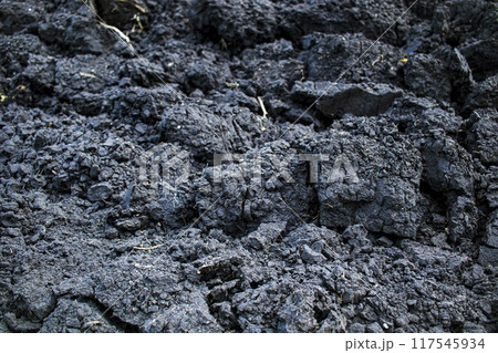 Black soil texture background. Close-up of black soil surface. Black soil texture background. Close-up of black soil surface. 117545934
