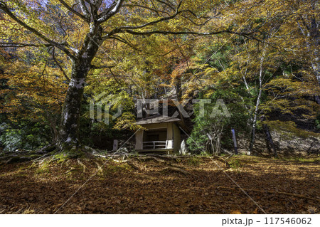 紅葉に包まれた東屋 紅葉に包まれた東屋 117546062