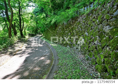 天空の城となる「越前大野城」 天守閣と石垣 天空の城となる「越前大野城」 天守閣と石垣 117546554
