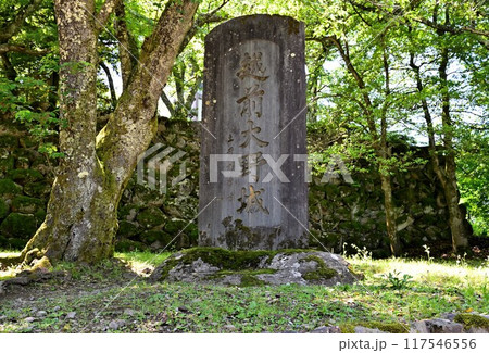天空の城となる「越前大野城」 天守閣と石垣 天空の城となる「越前大野城」 天守閣と石垣 117546556