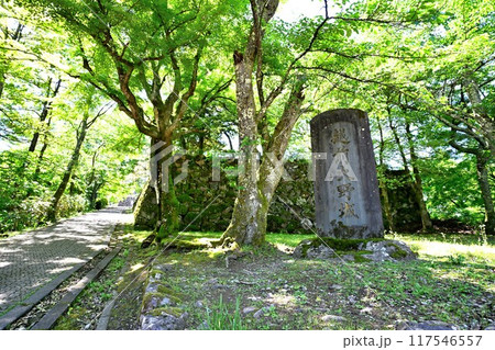 天空の城となる「越前大野城」 天守閣と石垣 天空の城となる「越前大野城」 天守閣と石垣 117546557