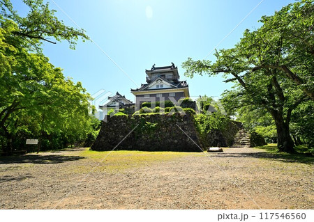 天空の城となる「越前大野城」 天守閣と石垣 天空の城となる「越前大野城」 天守閣と石垣 117546560