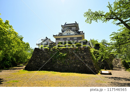 天空の城となる「越前大野城」　天守閣と石垣 117546565